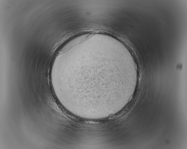 X0000113980585200911131057