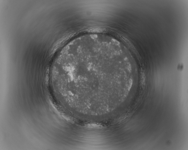 X0000113980586200911131057