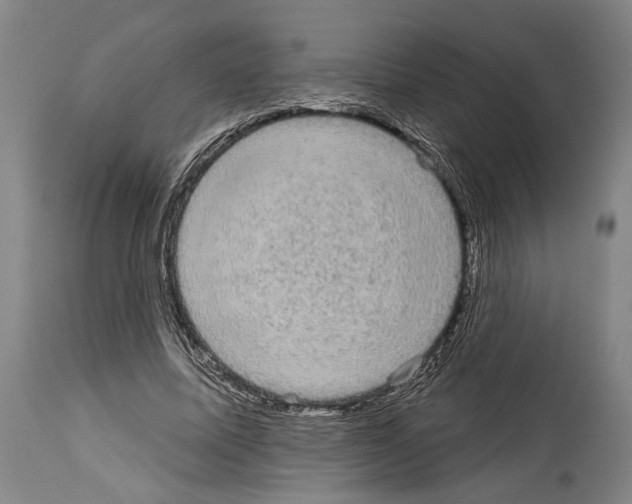 X0000113980587200911131057