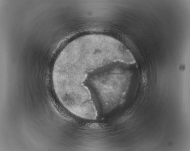 X0000113980588200911131057