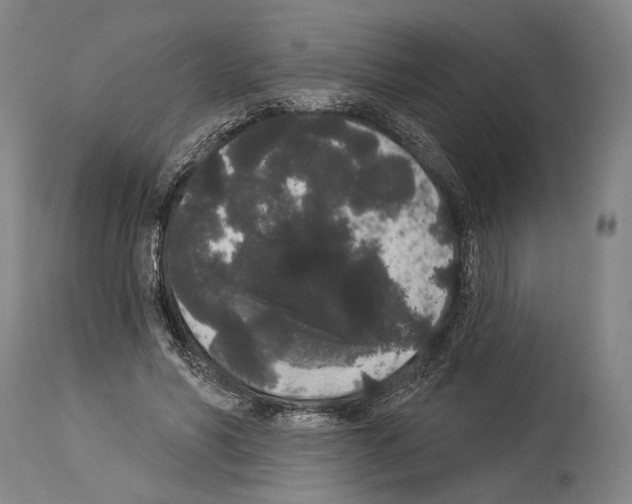 X0000113980590200911131057