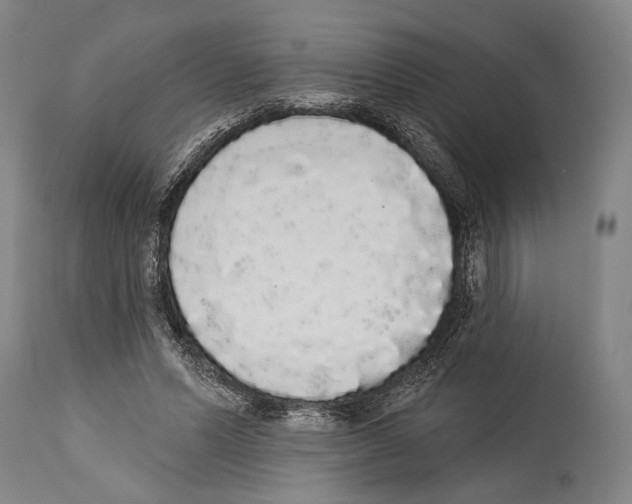 X0000113980591200911131057