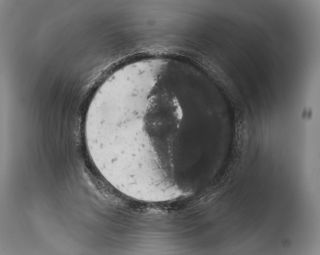 X0000113980592200911131057
