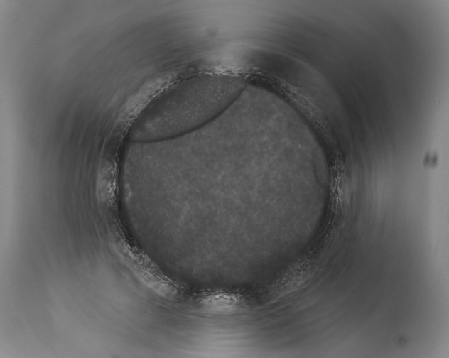 X0000113980593200911131057