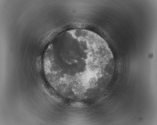 X0000113980594200911131057