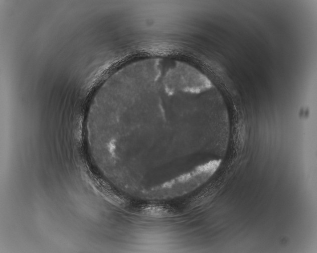 X0000113980596200911131057