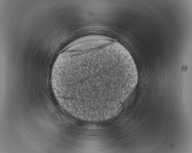 X0000113980597200911131057