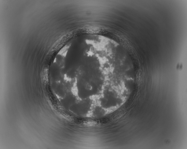 X0000113980598200911131057