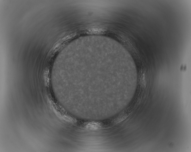 X0000113980599200911131057