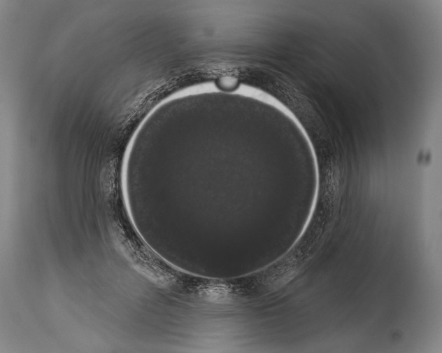 X0000113980600200911131057