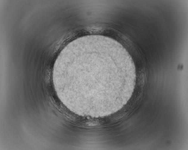 X0000113980604200911131057