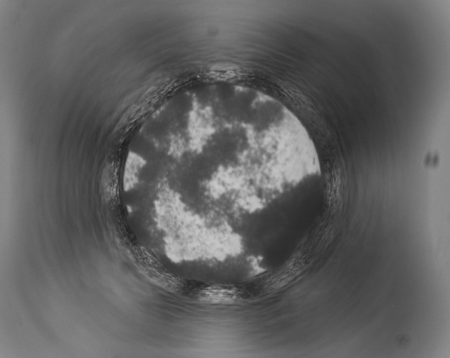 X0000113980606200911131057