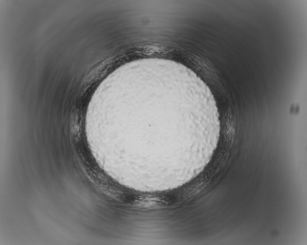 X0000113980607200911131057
