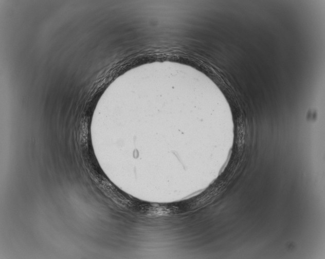 X0000113980613200911131057