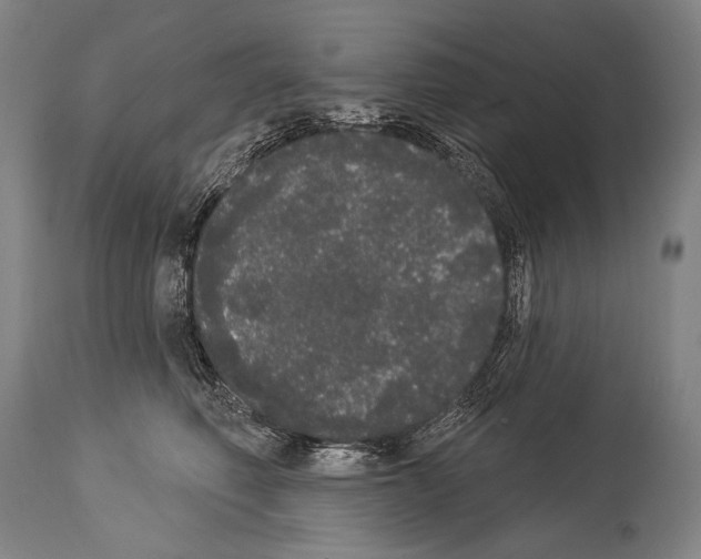 X0000113980614200911131057