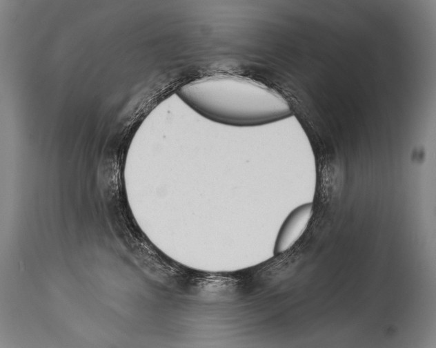 X0000113980617200911131057