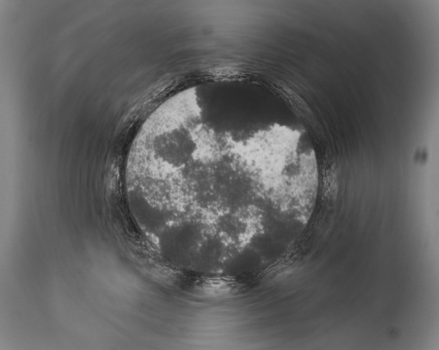 X0000113980618200911131057