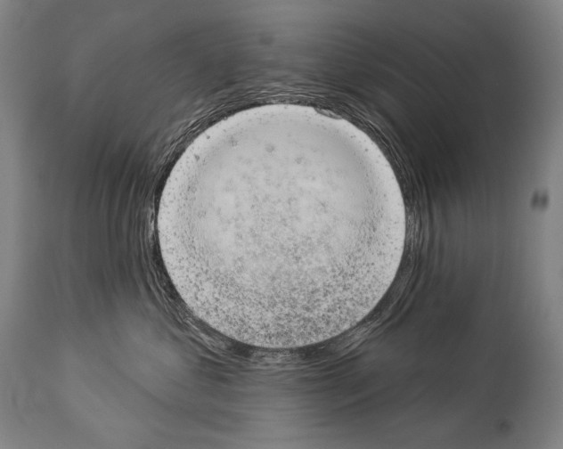 X0000113980621200911131057