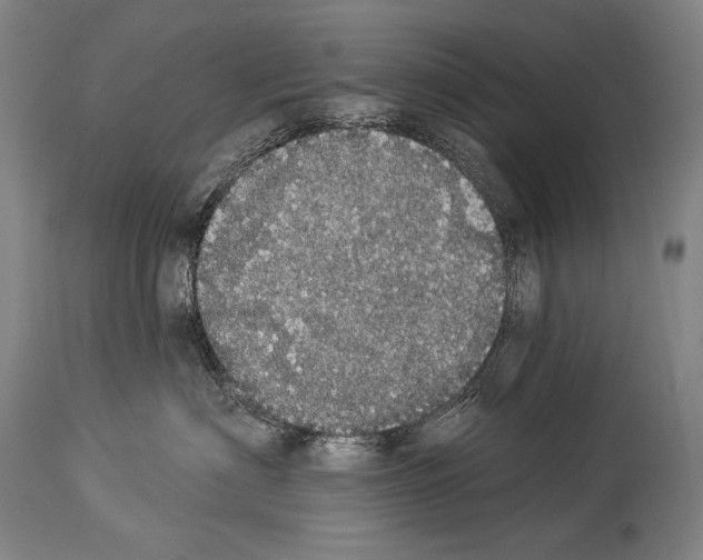 X0000113980622200911131057