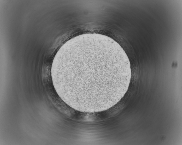 X0000113980623200911131057