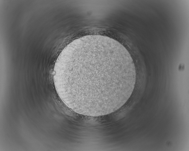 X0000113980624200911131057