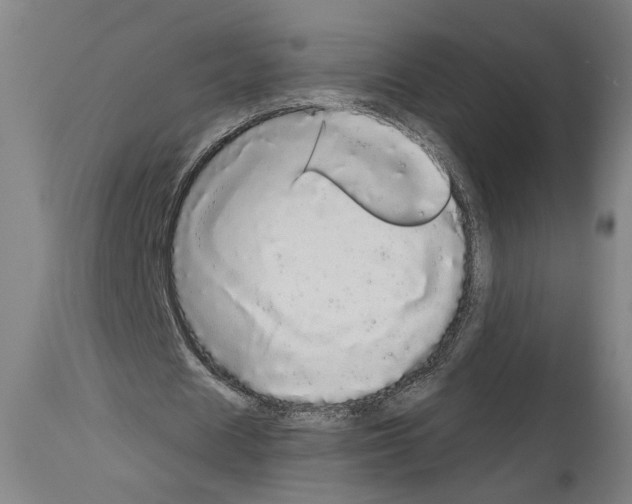 X0000113980625200911131056