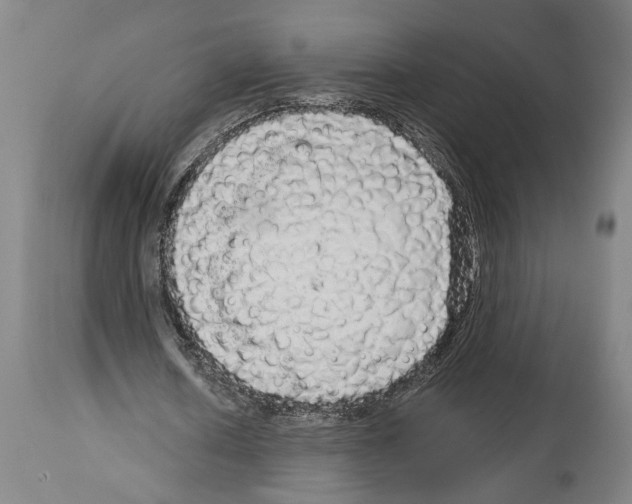 X0000113980626200911131056