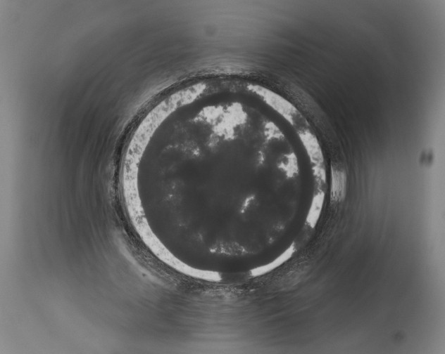 X0000113980627200911131056