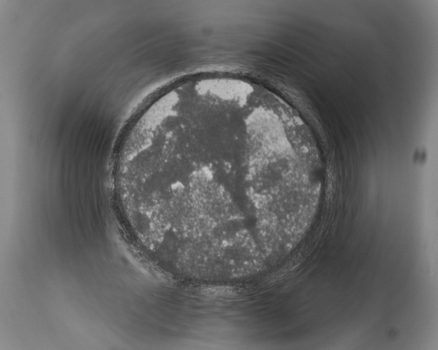 X0000113980628200911131056