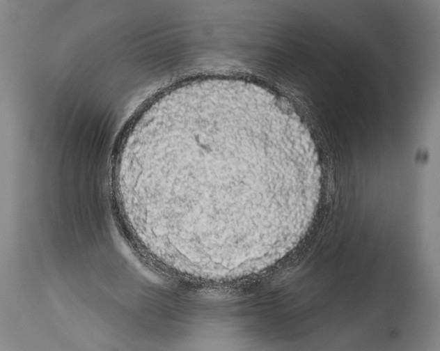 X0000113980630200911131056