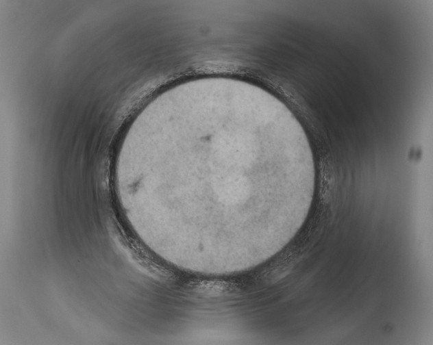 X0000113980631200911131056