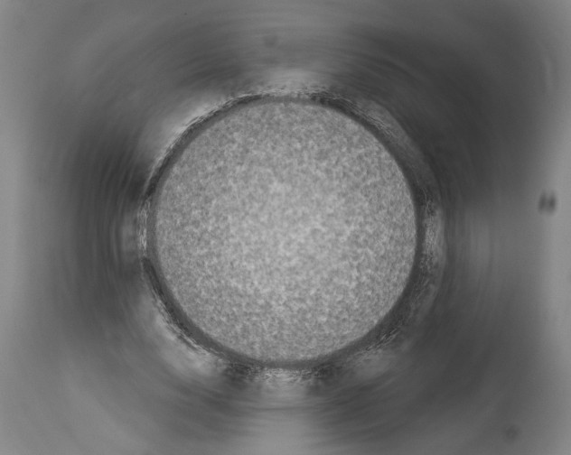 X0000113980632200911131056