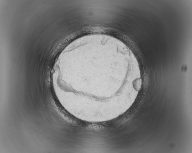 X0000113980633200911131056
