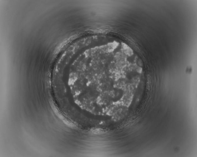 X0000113980634200911131056
