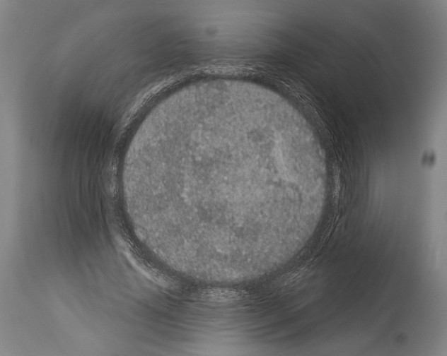 X0000113980636200911131056