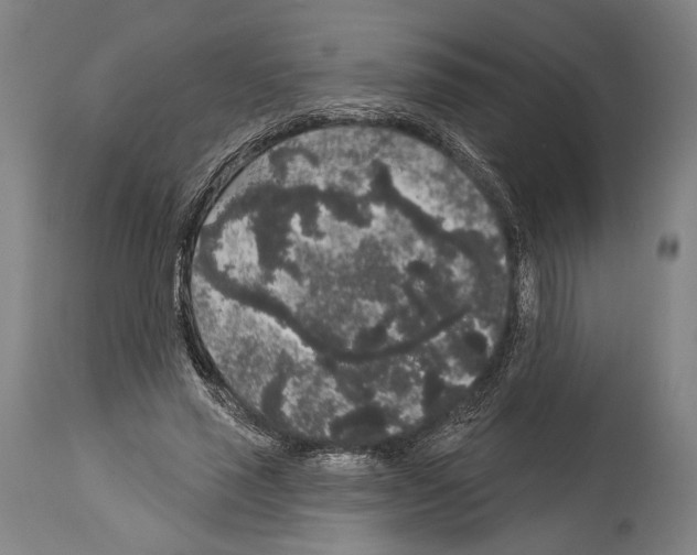 X0000113980637200911131056