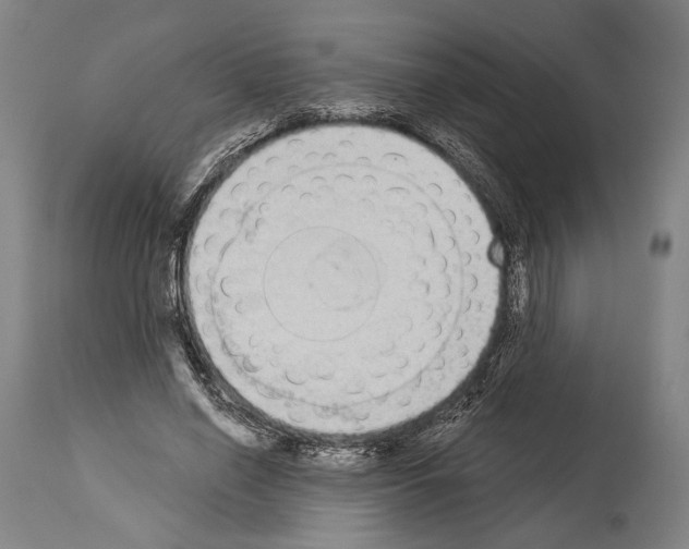 X0000113980638200911131056