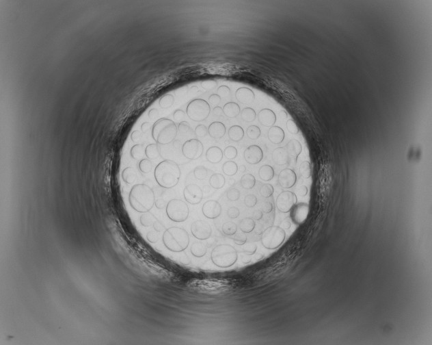 X0000113980639200911131056
