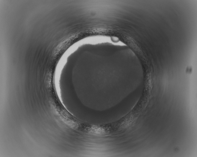 X0000113980640200911131056