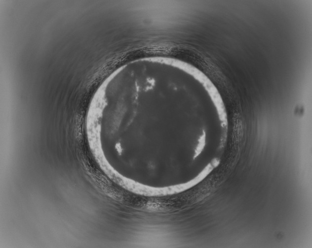 X0000113980641200911131056