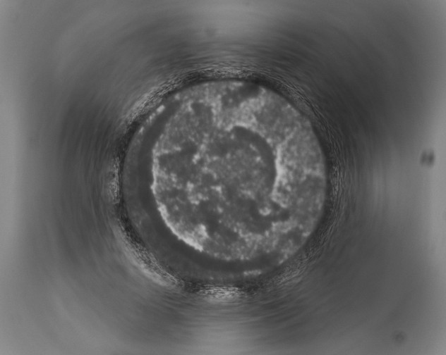 X0000113980642200911131056