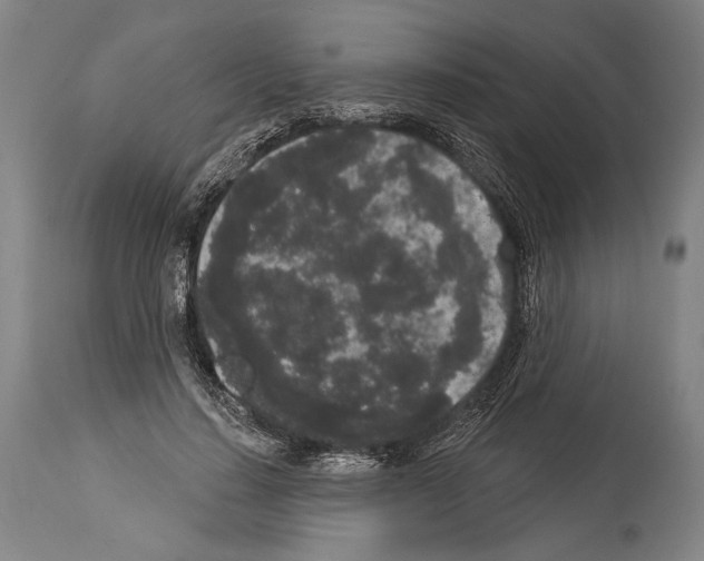 X0000113980644200911131056