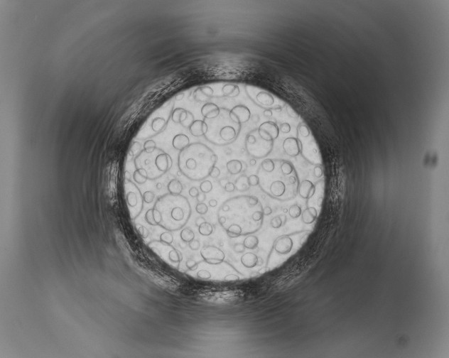 X0000113980646200911131056