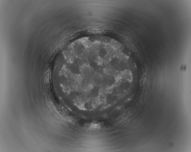 X0000113980647200911131056