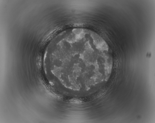X0000113980648200911131056