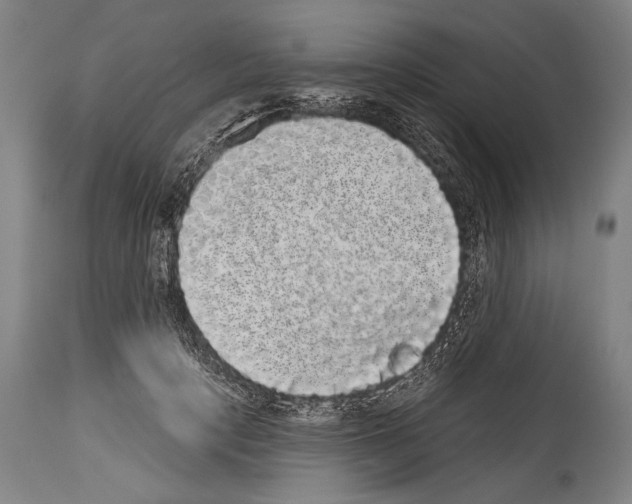 X0000113980649200911131056
