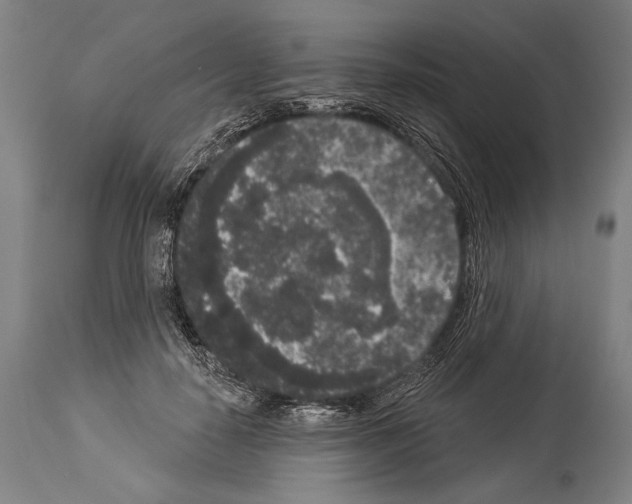 X0000113980650200911131056