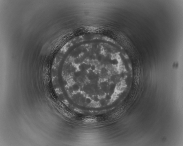 X0000113980653200911131056