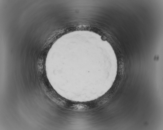 X0000113980654200911131056
