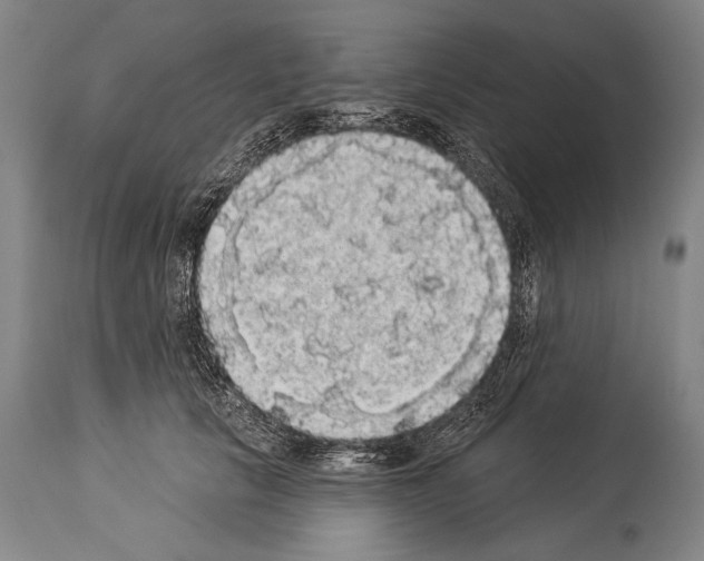 X0000113980657200911131056